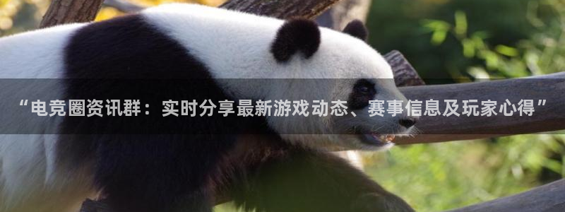 高德娱乐平台