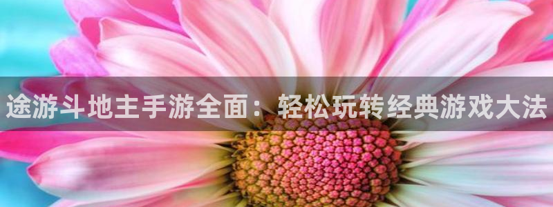 高德娱乐测速登陆：途游斗地主手游全面：轻松玩转经典游戏大法