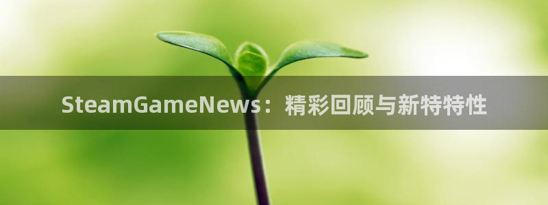 高德娱乐注册服务条款：SteamGameNews：精彩回顾与