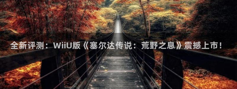 高德娱乐注册网站：全新评测：WiiU版《塞尔达传说：荒野之息