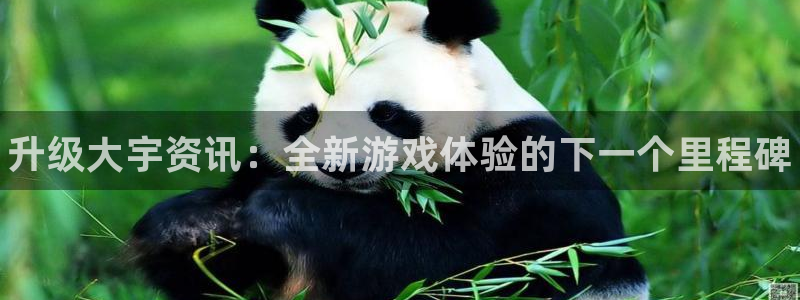 高德娱乐科技：升级大宇资讯：全新游戏体验的下一个里程碑