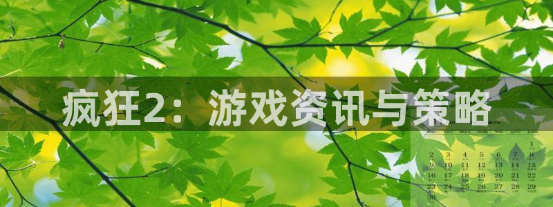 高德娱乐直属：疯狂2：游戏资讯与策略
