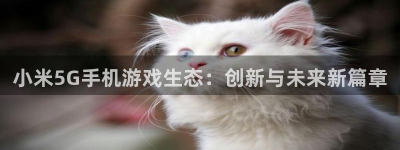 高德娱乐官网：小米5G手机游戏生态：创新与未来新篇章